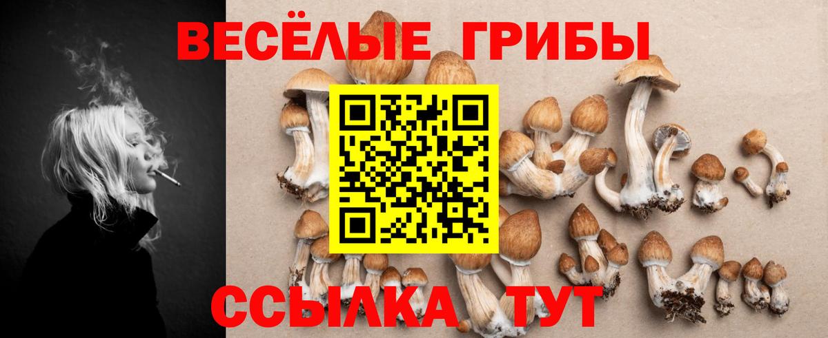Галлюциногенные грибы мухоморы  Вход с VPN  Псилоцибиновые грибы ЛСД  Домодедово 